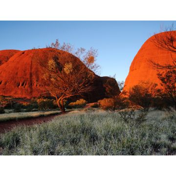 Lais Puzzle - Australien Landschaft: Roter Fels von Alice Spring, Yulara, Mutitjulu, Northern Territory - 1.000 Teile
