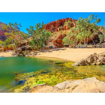 Lais Puzzle - Szenische Landschaft von Ormiston Gorge Water Hole mit Geistergummi in West MacDonnell Ranges, Northern Territory, Australien - 1.000 Teile