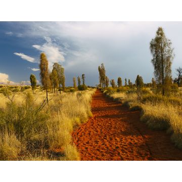 Lais Puzzle - Uluru Landschaft, Australien - 1.000 Teile
