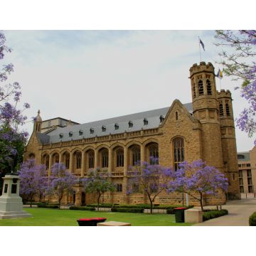 Lais Puzzle - Kirche , Adelaide, Südaustralien - 1.000 Teile