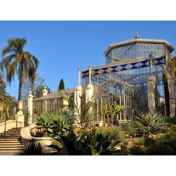 Lais Puzzle - Palmenhaus in einem botanischen Garten, Adelaide, Australien - 1.000 Teile
