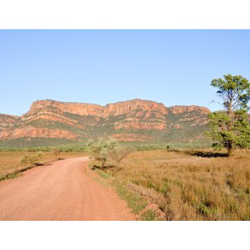 Lais Puzzle - Flinders Ranges National Park, Südaustralien - 1.000 Teile