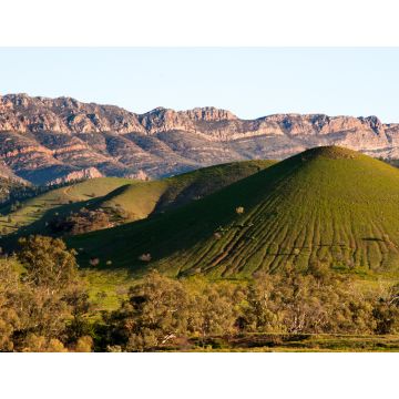Lais Puzzle - Szene in Flinders Ranges Australien - 1.000 Teile