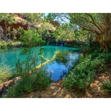 Lais Puzzle - Fern-Pool in der Dales-Schlucht, Karijini-Nationalpark, Westaustralien - 1.000 Teile