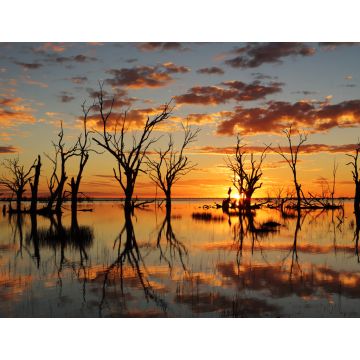 Lais Puzzle - Sonnenuntergang Reflexionen auf See Menindee Outback Australien - 1.000 Teile