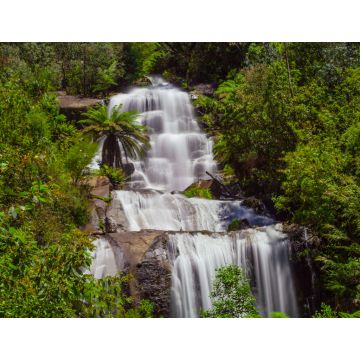 Lais Puzzle - Wunderschöne Fainter Falls im australischen Urwald. Kiewa Tal, Victoria, Australien - 1.000 Teile