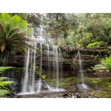 Lais Puzzle - Russell Falls liegt in Tasmanien, Australien. Er befindet sich in einem üppigen, grünen Regenwald. - 1.000 Teile