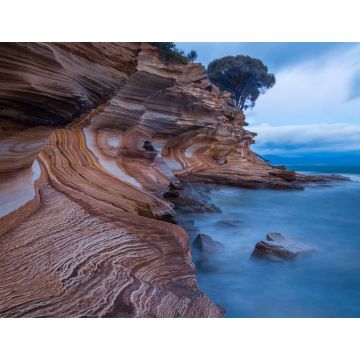 Lais Puzzle - Painted Cliffs im Maria Island National Park, Tasmanien, Australien. Erodierte Schichten aus Eisenoxid bilden interessante Muster in der Küstenlinie - 1.000 Teile