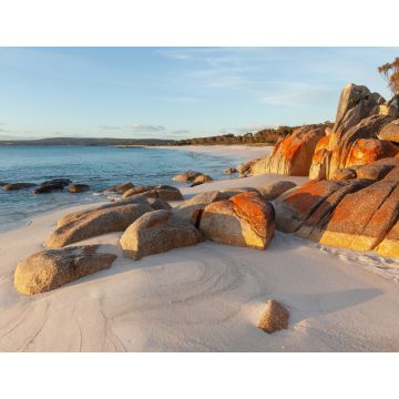 Lais Puzzle - Mit Flechten bedeckte Felsen. Bay of Fires. Tasmanien. Australien - 1.000 Teile