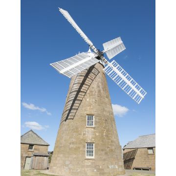 Lais Puzzle - Historische Mehlwindmühle und Museum in Oatlands Tasmanien, Australien - 1.000 Teile