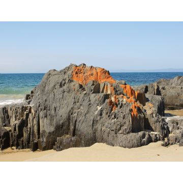 Lais Puzzle - Spiky Beach, Küste bei Swansea, Tasmanien, Australien - 1.000 Teile
