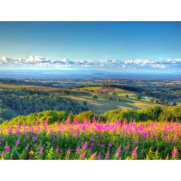 Lais Puzzle - Quantock Hills in Somerset, England - 1.000 Teile