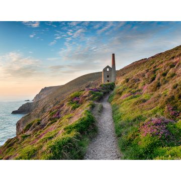 Lais Puzzle - Nebliger Sommerabend auf dem South West Coast Path, England - 1.000 Teile
