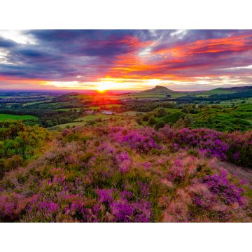 Lais Puzzle - Roseberry Topping, Nord-Yorkshire, England - 1.000 Teile
