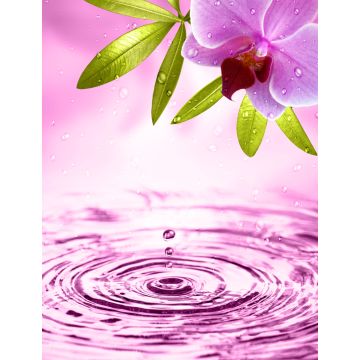 Lais Puzzle - Orchidee - 1.000 Teile