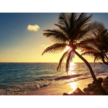 Lais Puzzle - Palme am Tropischen Strand - 1.000 Teile
