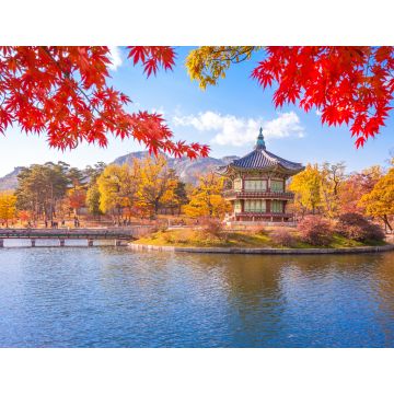Lais Puzzle - Seoul - 1.000 Teile