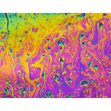Lais Puzzle - Unmögliche, sehr schwierige, psychedelische Farben - 1.000 Teile