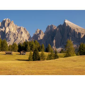 Lais Puzzle - Seiser Alm, Südtirol, Dolomiten - 1.000 Teile
