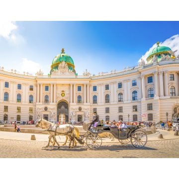 Lais Puzzle - Alte Hofburg, Wien, Österreich - 1.000 Teile