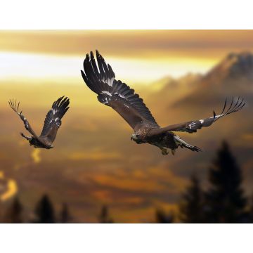 Lais Puzzle - Adler / Steinadler im Flug - 1.000 Teile