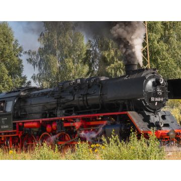 Lais Puzzle - Alte Dampflokomotive - 1.000 Teile