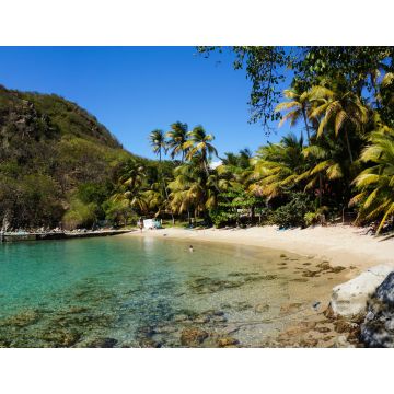 Lais Puzzle - Strand des Zuckerhuts in Les Saintes, Guadeloupe - 1.000 Teile