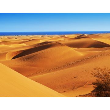 Lais Puzzle - Naturreservat der Dünen von Maspalomas, auf Gran Canaria, Spanien - 1.000 Teile