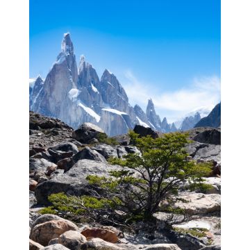 Lais Puzzle - Cerro Torre Trek, El Chalten, Patagonien, Argentinien - 1.000 Teile
