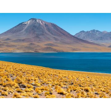Lais Puzzle - Panorama der Lagune Miscanti in den Anden, Atacama-Wüste, Chile - 1.000 Teile