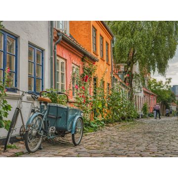 Lais Puzzle - An einem Sommertag parkt ein typisch dänisches Cargo-Bike, besser bekannt als Christiania Bike, am Eingang eines Hauses in einer gemütlichen, gepflasterten Straße, die Gemütlichkeit und ein kulturelles Konzept vermittelt - Aarhus, D...