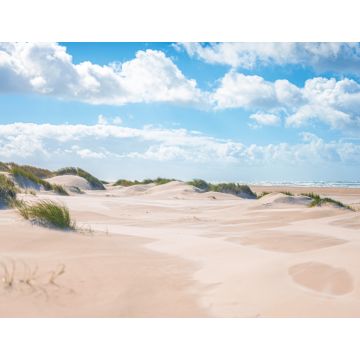 Lais Puzzle - Sandstrand an der Nordseeküste bei Skagen in Dänemark - 1.000 Teile