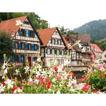Lais Puzzle - die typischen Häuser von Schiltach, Schwarzwald, Deutschland - 1.000 Teile