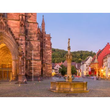 Lais Puzzle - Freiburg, Deutschland - 1.000 Teile