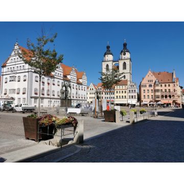 Lais Puzzle - Lutherstadt Wittenberg Marktplatz - 1.000 Teile
