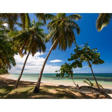 Lais Puzzle - Paradiesischer Strand mit weißem Sand, Palmen und blauem Wasser des Atlantischen Ozeans, Las Terrenas, Samana, Dominikanische Republik - 1.000 Teile
