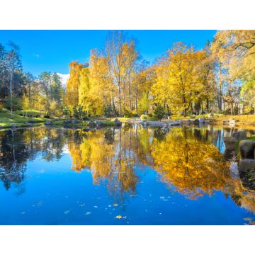 Lais Puzzle - Japanischer Garten aus Steinen im Park Kadriorg mit schönem Teich im goldenen Herbst. Tallinn, Estland - 1.000 Teile