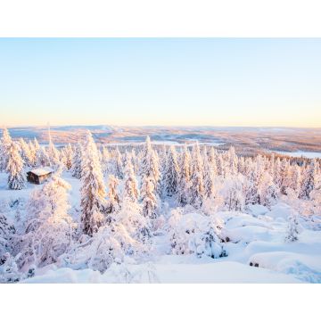 Lais Puzzle - Majestätischer Winter in Finnland - 1.000 Teile