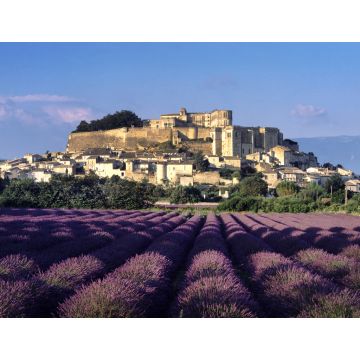 Lais Puzzle - Drome, Provence, Lavendelfeld von Grignan - 1.000 Teile