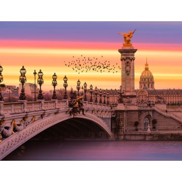Lais Puzzle - Brücke Alexandre III, Paris, Frankreich - 1.000 Teile