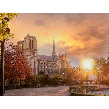 Lais Puzzle - Paris, Kathedrale Notre Dame mit Frühlingsbäumen - 1.000 Teile