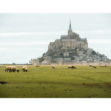 Lais Puzzle - Blick auf den Mont Saint-Michel, Frankreich - 1.000 Teile