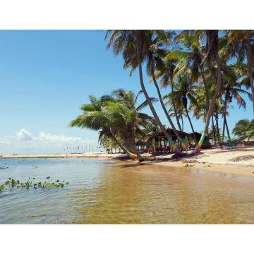Lais Puzzle - Palmengesäumter Süßwasserstrand bei Ada Foah, Ghana - 1.000 Teile