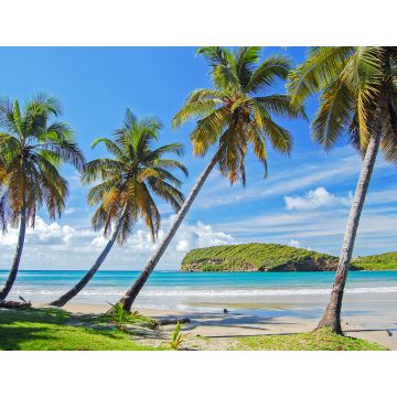 Lais Puzzle - Palmen an einem schönen, abgelegenen Strand auf der Insel Grenada, Karibik, Kleine Antillen - 1.000 Teile
