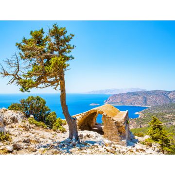 Lais Puzzle - Historische Ruine und Pinienbaum, Mediterranea, Insel Rhodos, Griechenland - 1.000 Teile