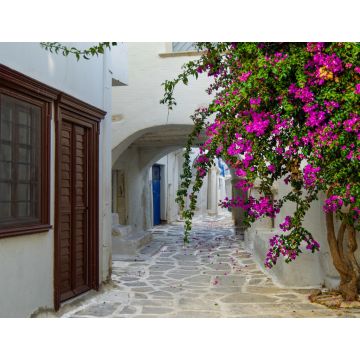 Lais Puzzle - Wunderschöne romantische Gasse mit typisch traditionellen, weiß getünchten griechischen Häusern in Parikia auf der Kykladeninsel Paros - 1.000 Teile