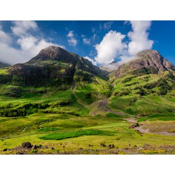 Lais Puzzle - Die Berge von Glencoe bei Sonnenaufgang im Sommer, Schottland - 1.000 Teile