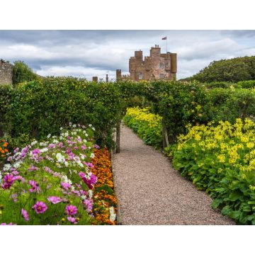 Lais Puzzle - Schöner Garten von Castle of Mey, dem Lieblingswohnsitz und Ferienhaus der Königinmutter, Caithness, Schottland, Großbritannien - 1.000 Teile