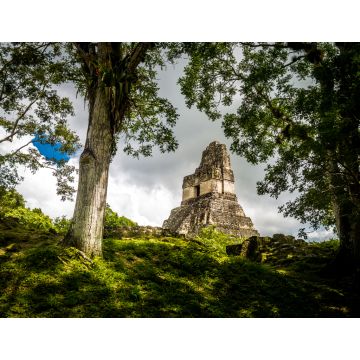 Lais Puzzle - Spitze des Maya-Tempels I (Gran Jaguar) im Tikal-Nationalpark - Guatemala - 1.000 Teile