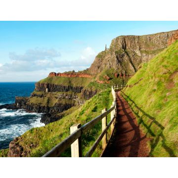 Lais Puzzle - Pfad am Giants Causeway, Irland - 1.000 Teile